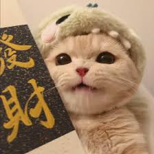 Ảnh đại diện người dùng Quang Huy